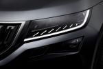 Skoda Kodiaq 2016 года (WW)